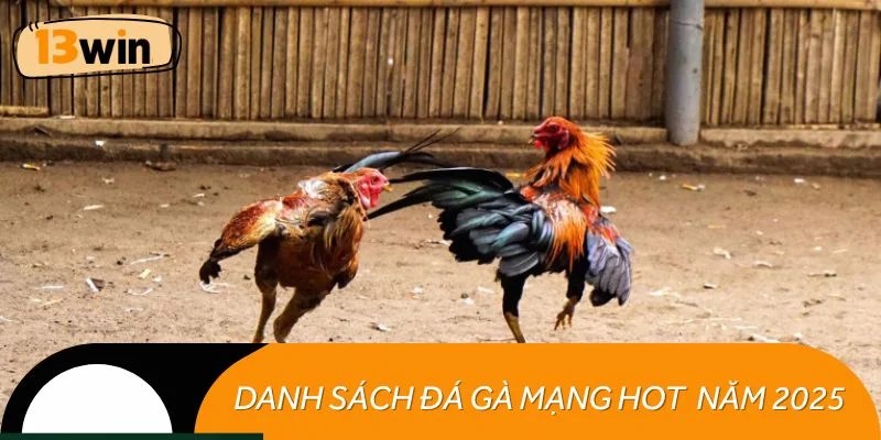 Danh sách đá gà mạng hot nhất năm 2025